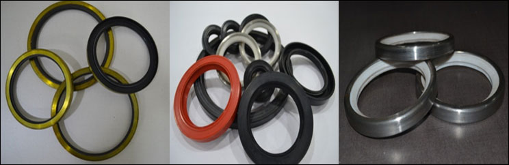 Oil / rotary shaft seals