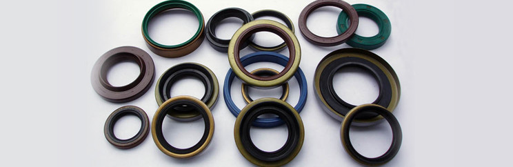 U seals manufacturers in India